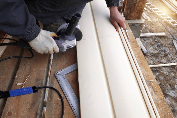 Best Siding for Commercial Buildings  in Houghton Lake, MI