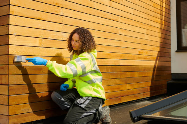Best Custom Siding Design  in Houghton Lake, MI