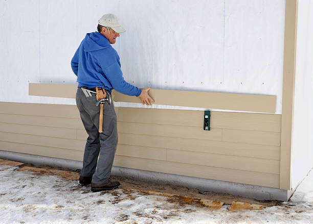 Best Stone Veneer Siding  in Houghton Lake, MI